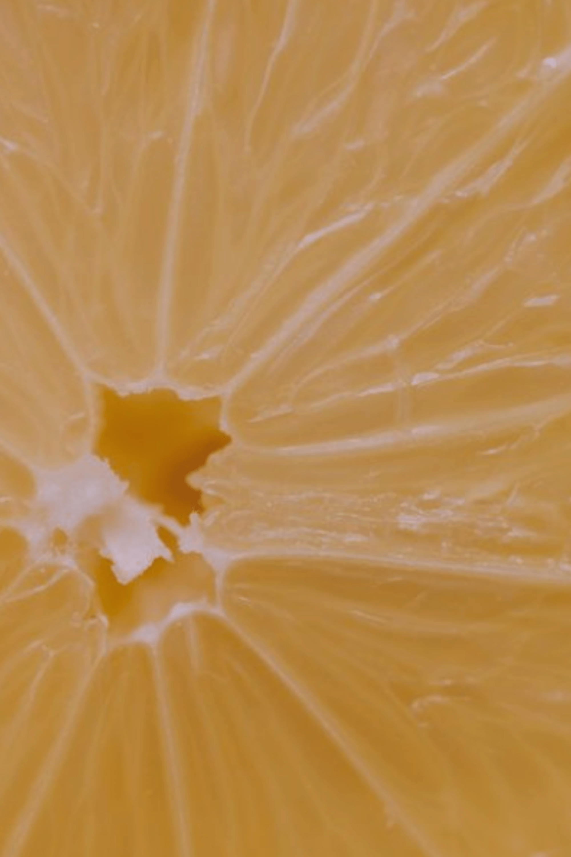 Perfumes cítricos - LACONICUM