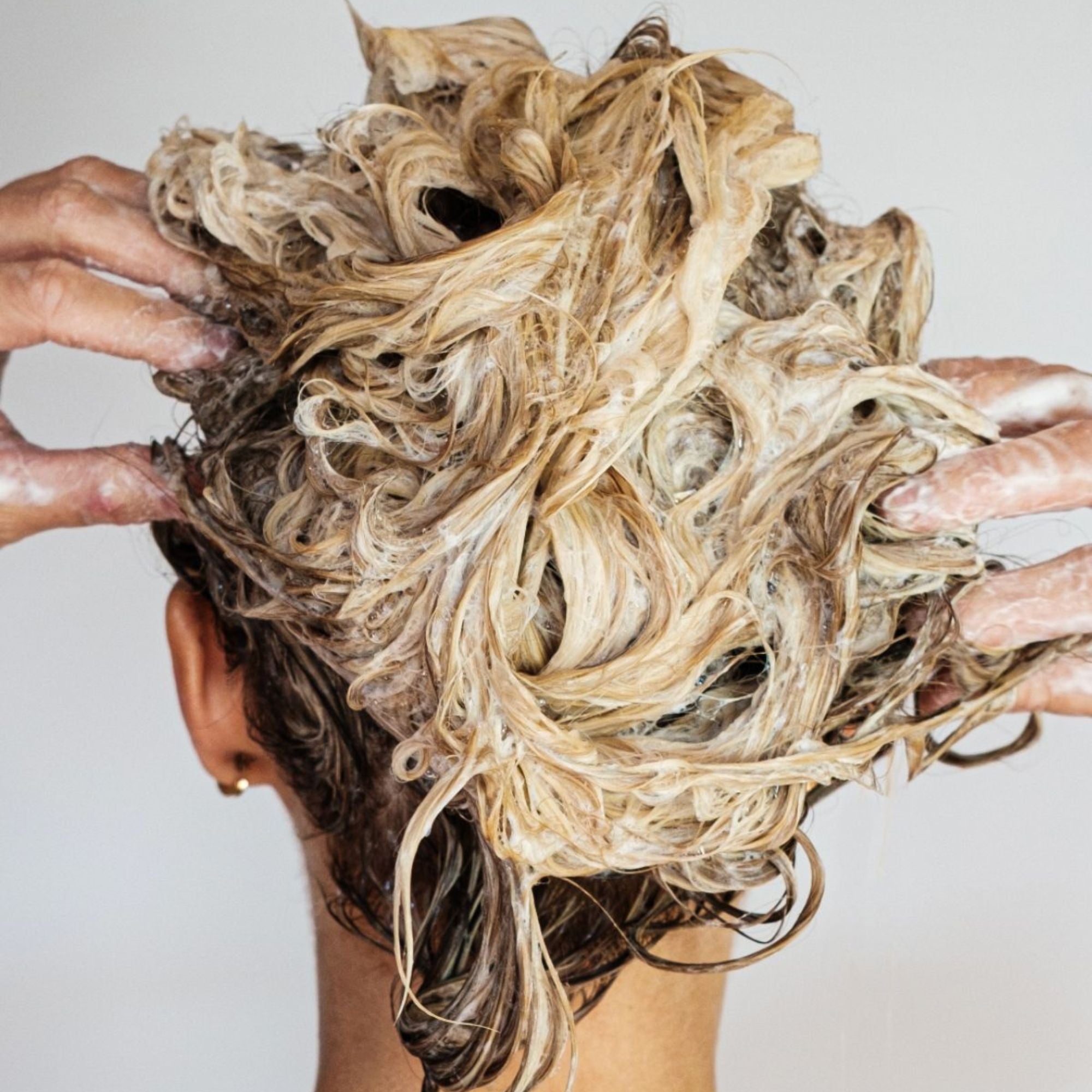 Clean as a Whistle - LACONICUM