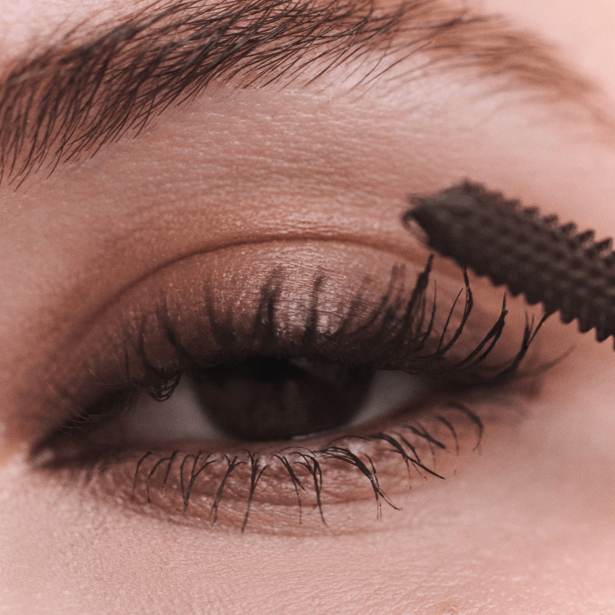 Lash Lift Mascara - LACONICUM