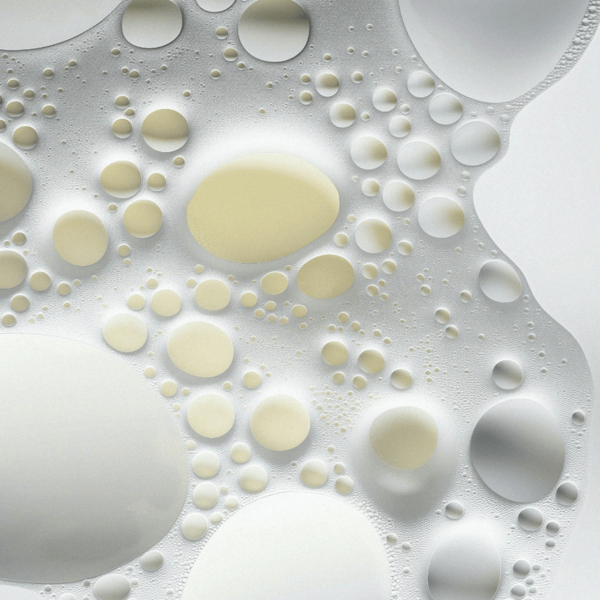 The Nourishing Shampoo - LACONICUM