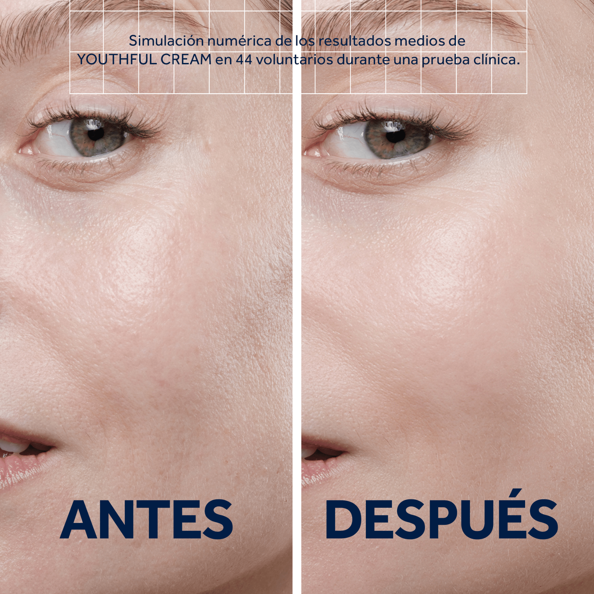 Youthful Cream - LACONICUM