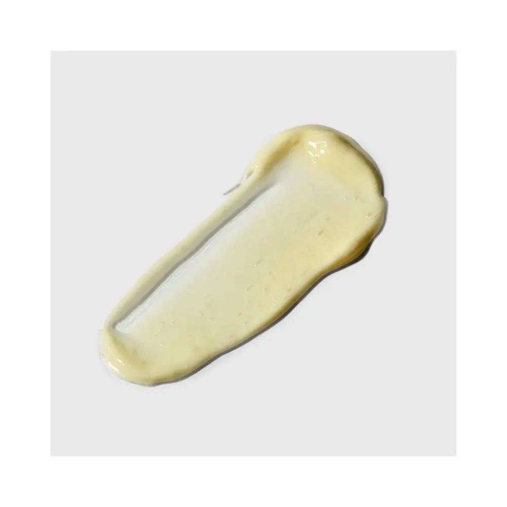 The Pioneer - LACONICUM