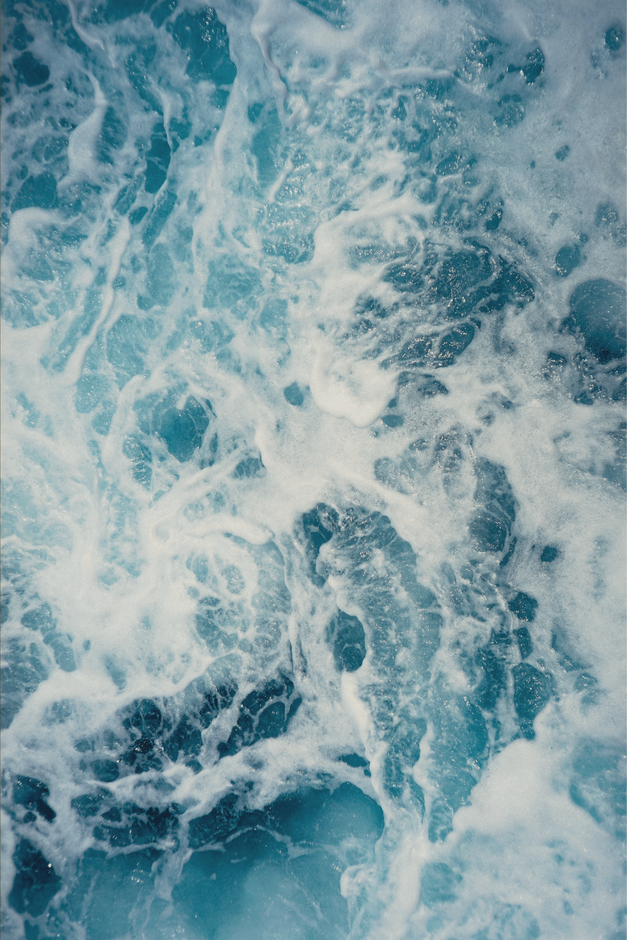 Perfumes marinos - LACONICUM