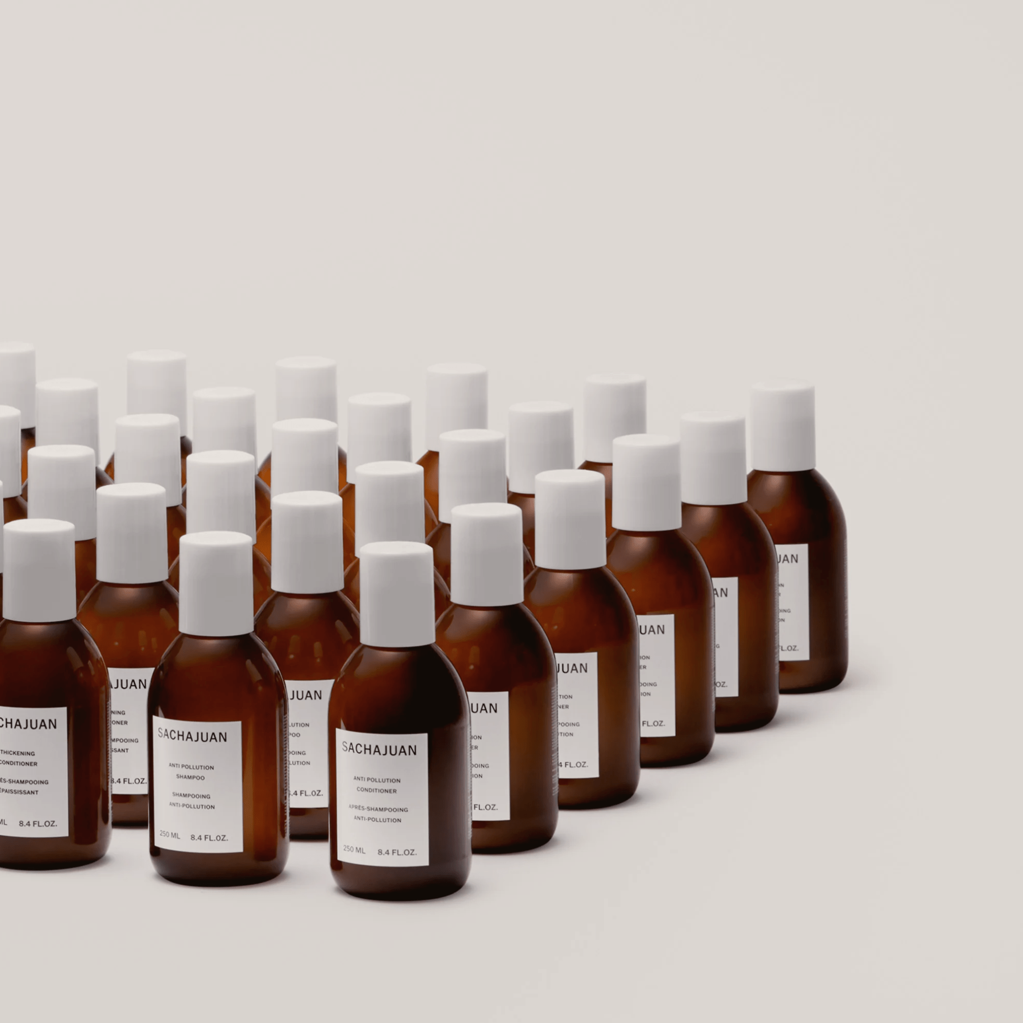 Sachajuan - LACONICUM