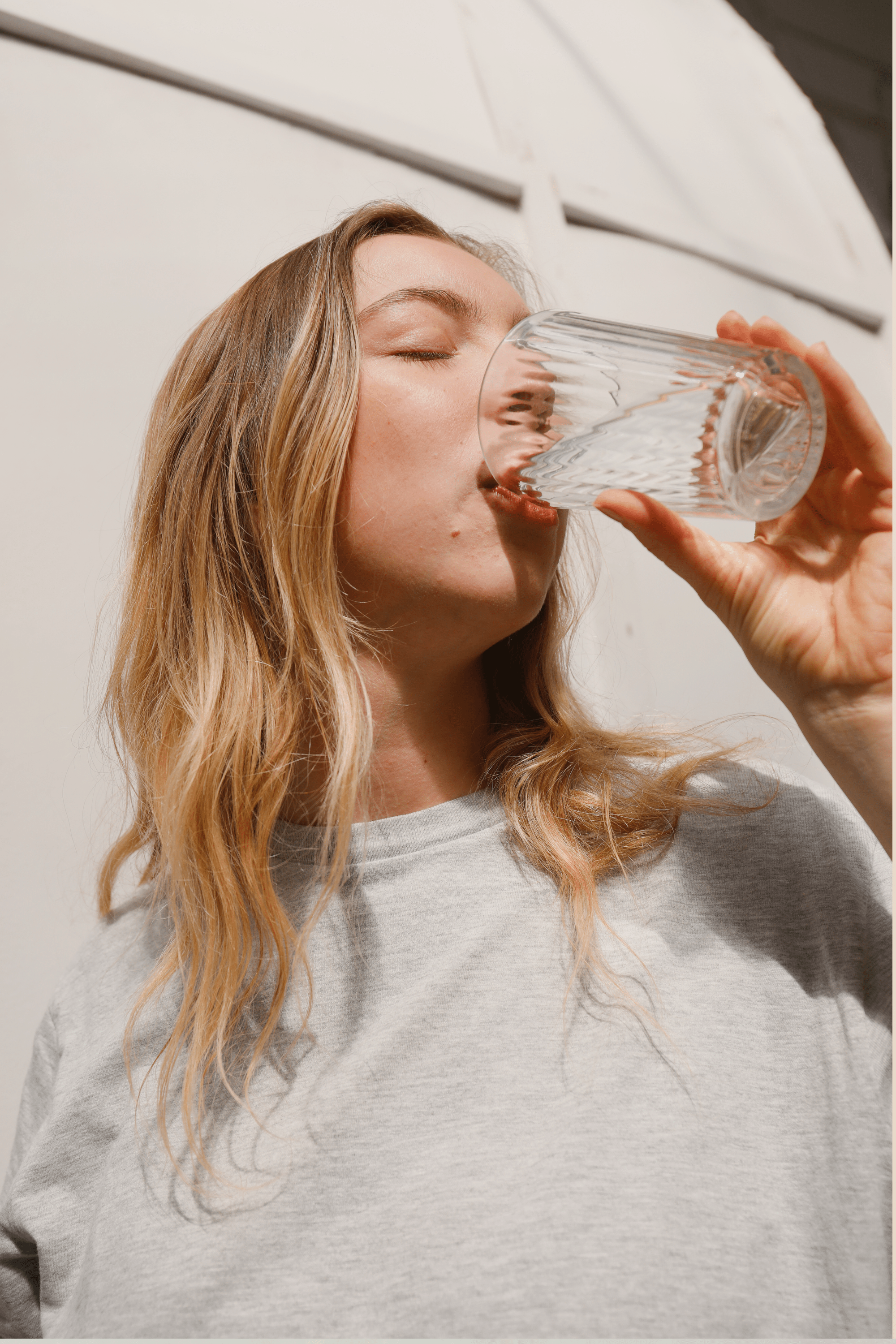 Suplementos - LACONICUM