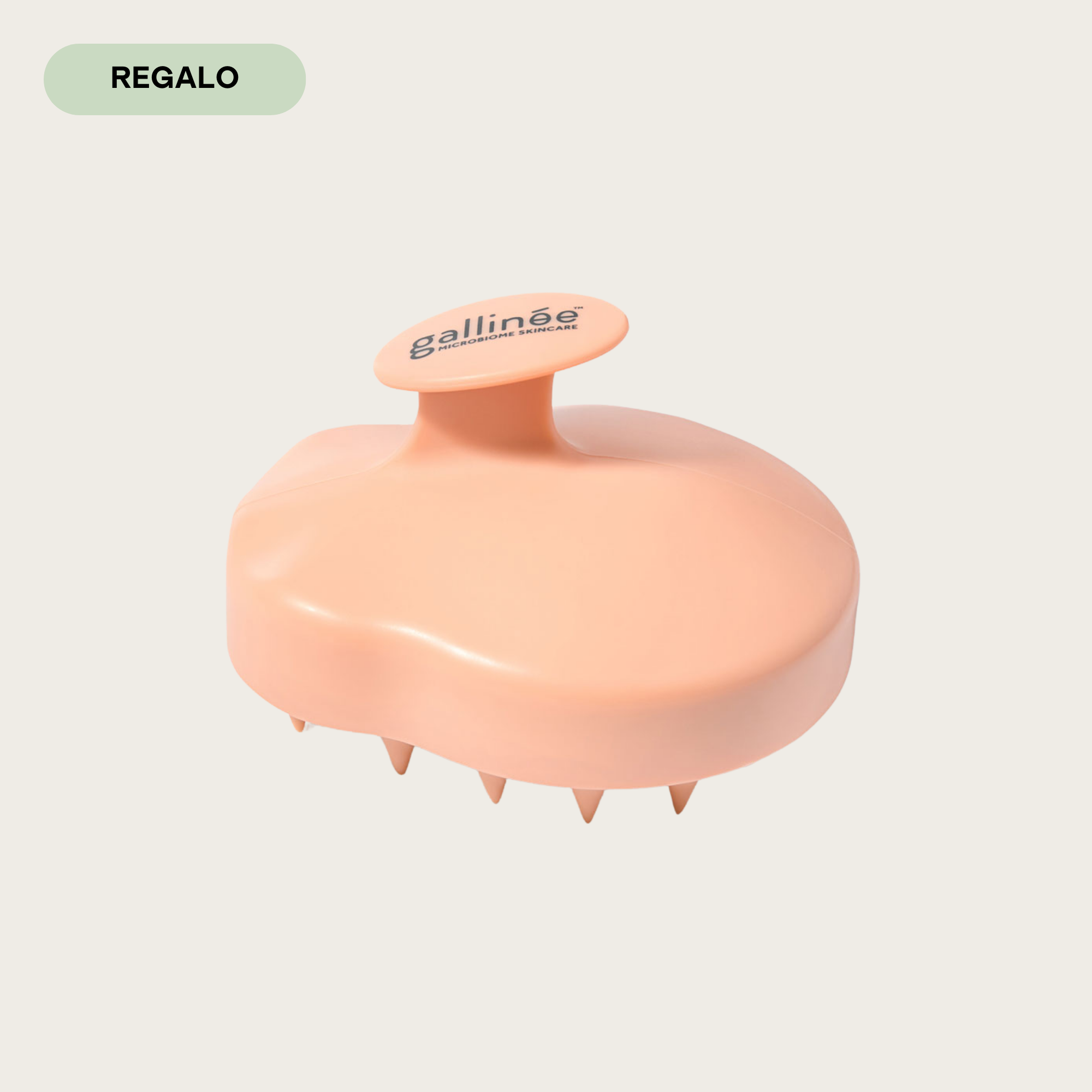 Regalo → Scalp Brush de Gallinée