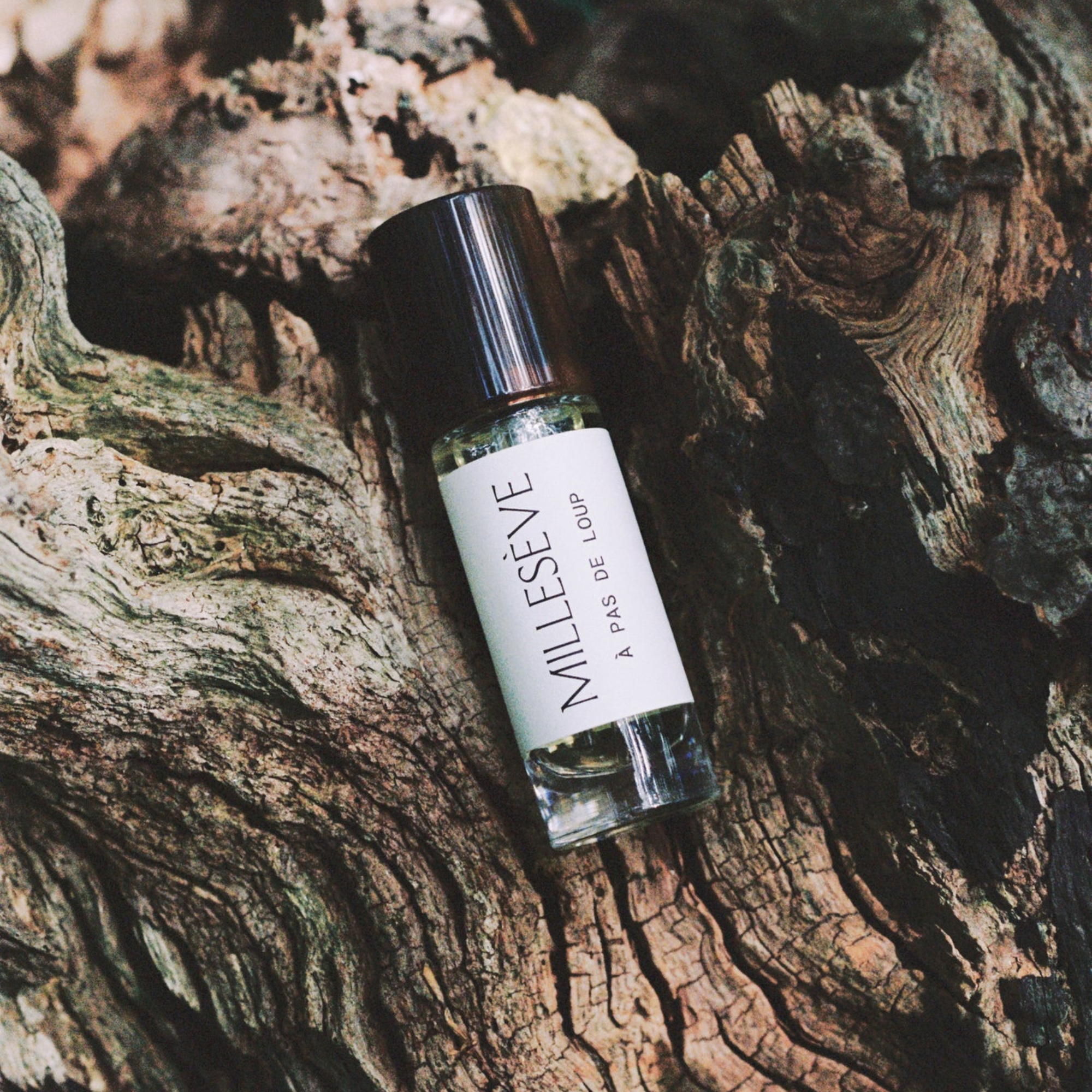 À Pas De Loup