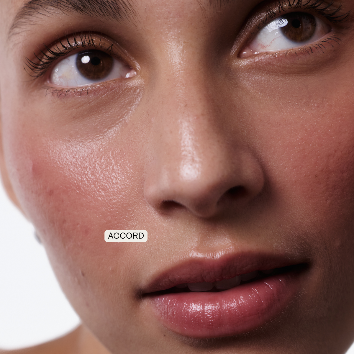 The Cream Blush