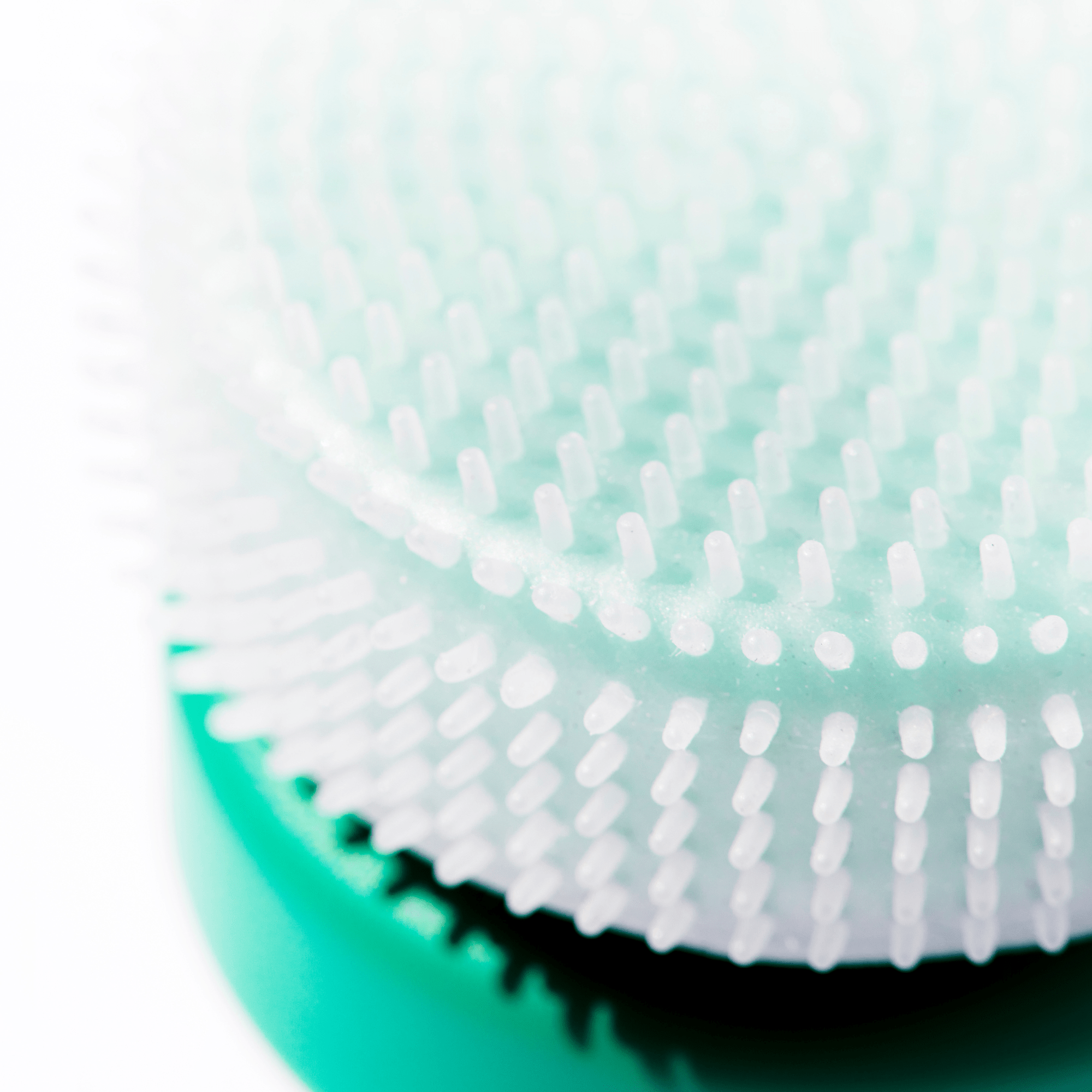 Le disque - LACONICUM