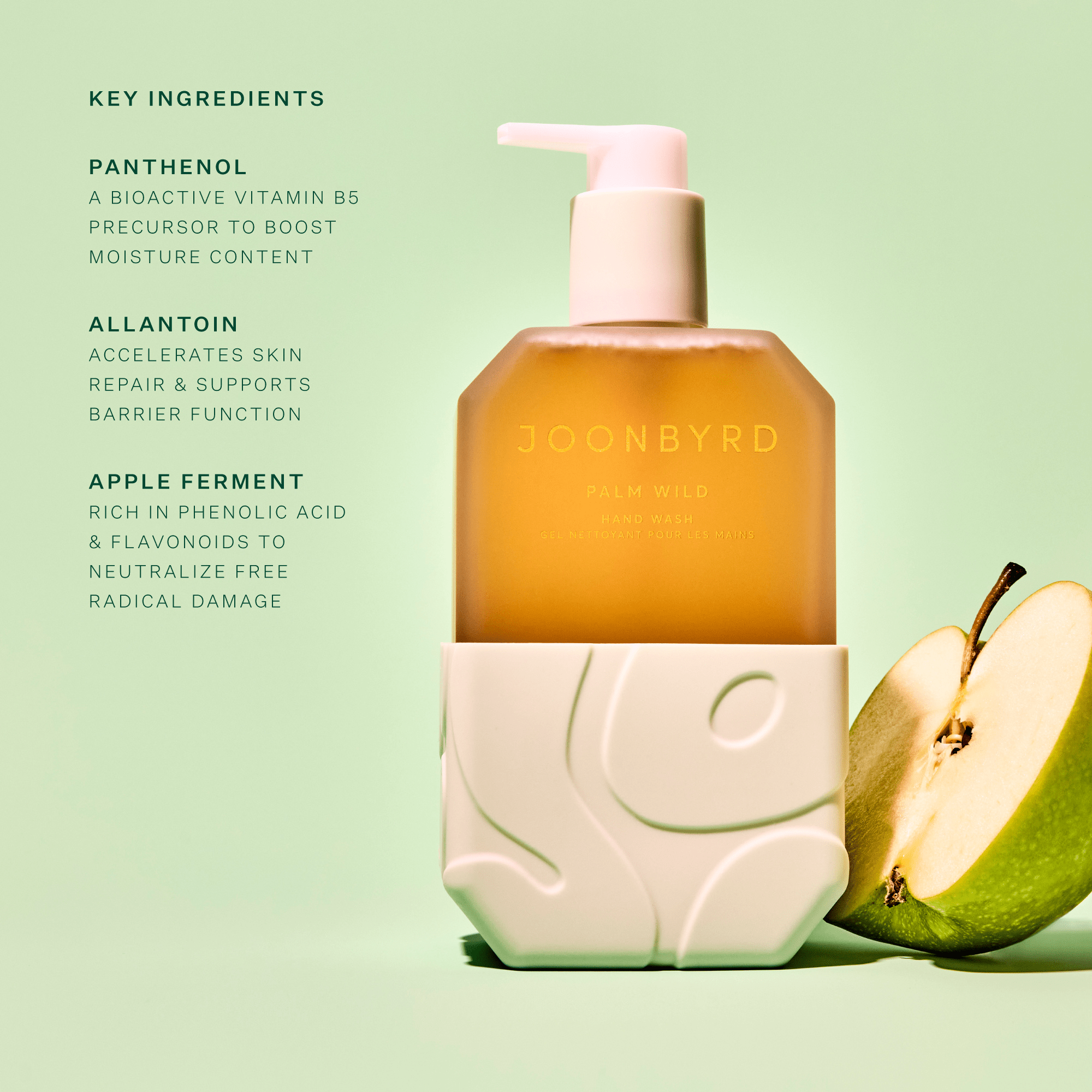 Palm Wild Hand Wash - LACONICUM