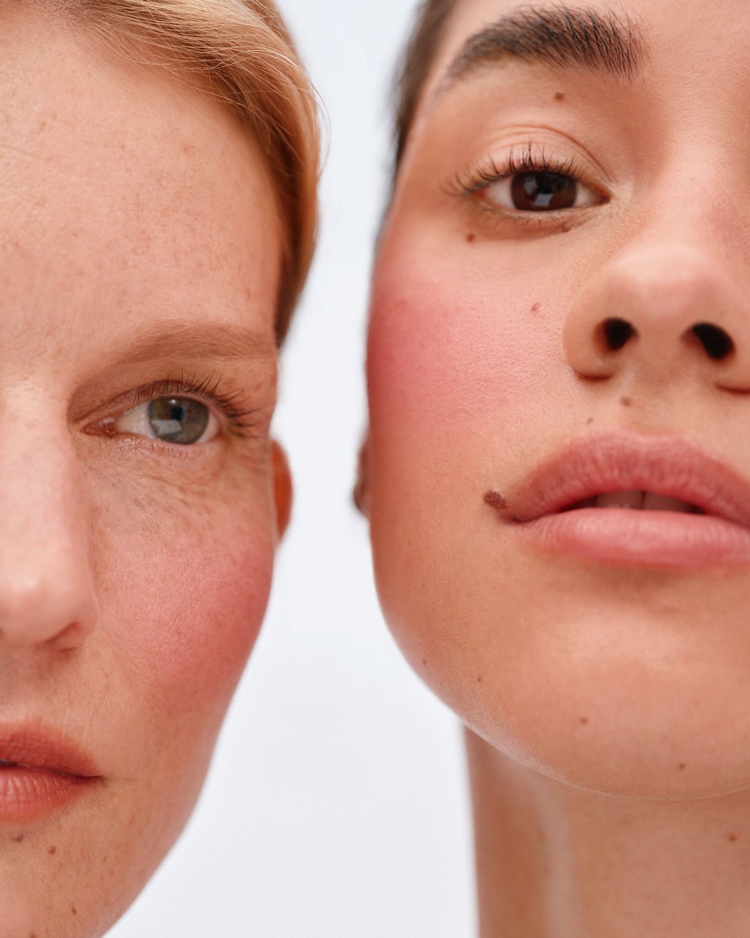 Soft Focus Blurring Blush - LACONICUM