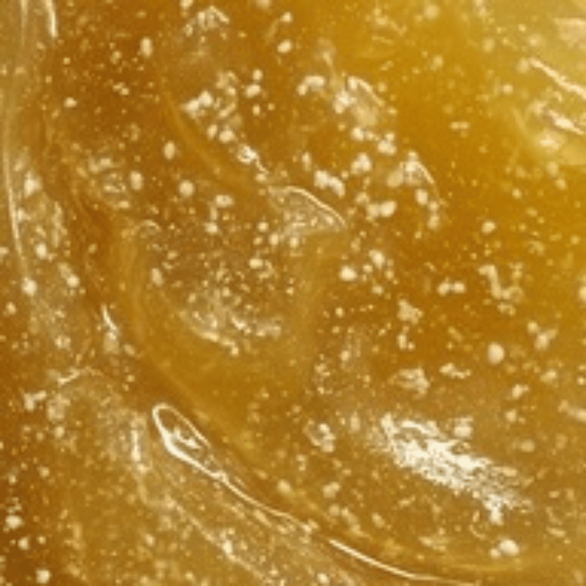 The Hot Ex - LACONICUM