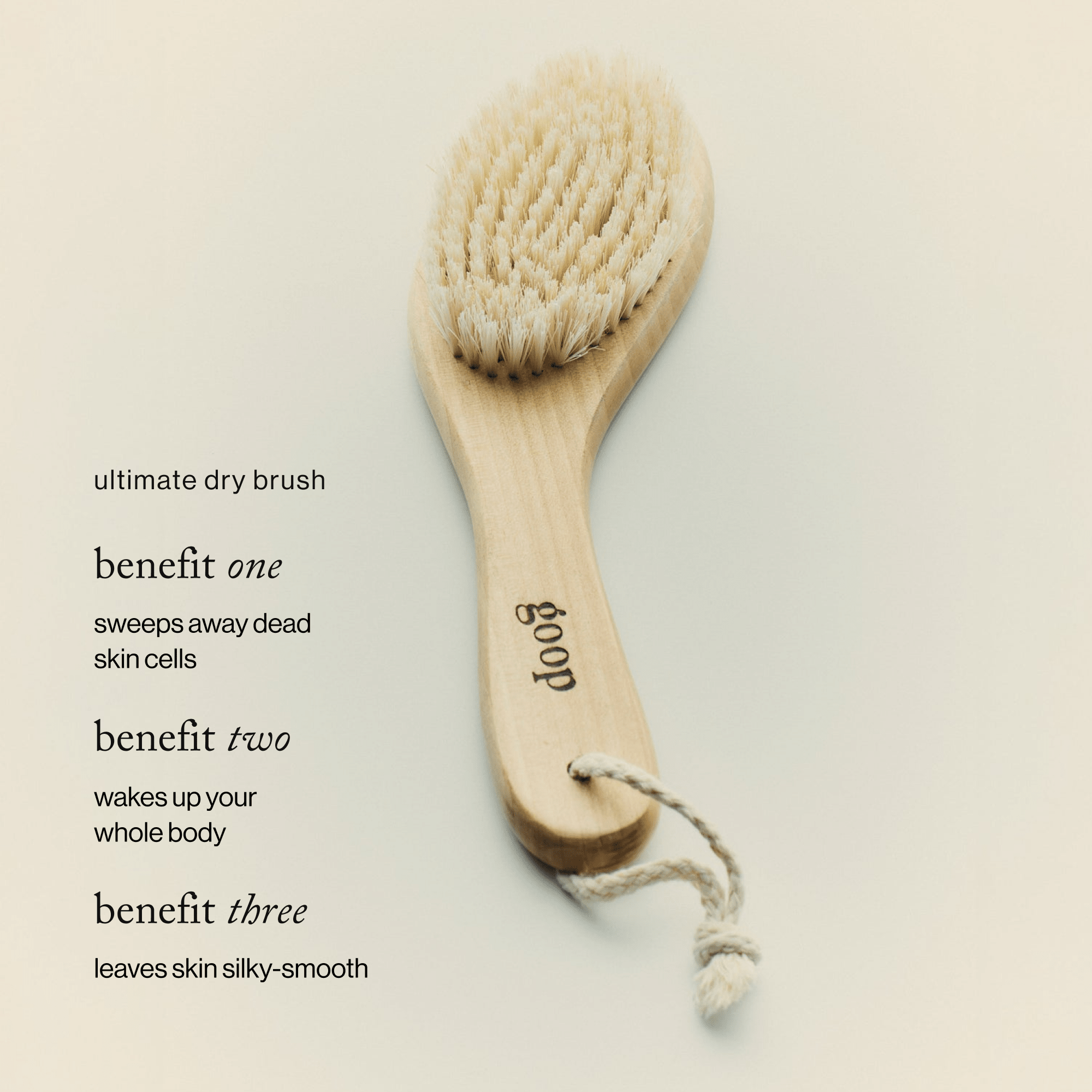 Ultimate Dry Brush - LACONICUM